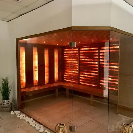 Sunshine 208 巴拉顿扎佐