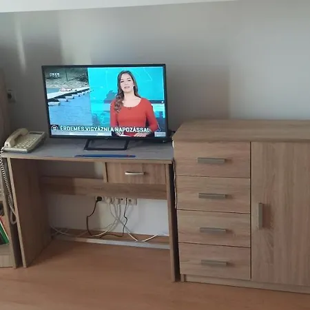 Sunshine 208 巴拉顿扎佐