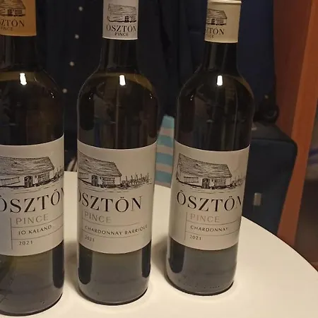 公寓 Sunshine 208 巴拉顿扎佐