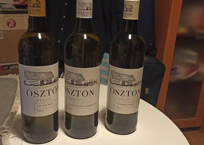 Apartamento Sunshine 208 Balatonszarszo